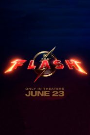 The Flash
